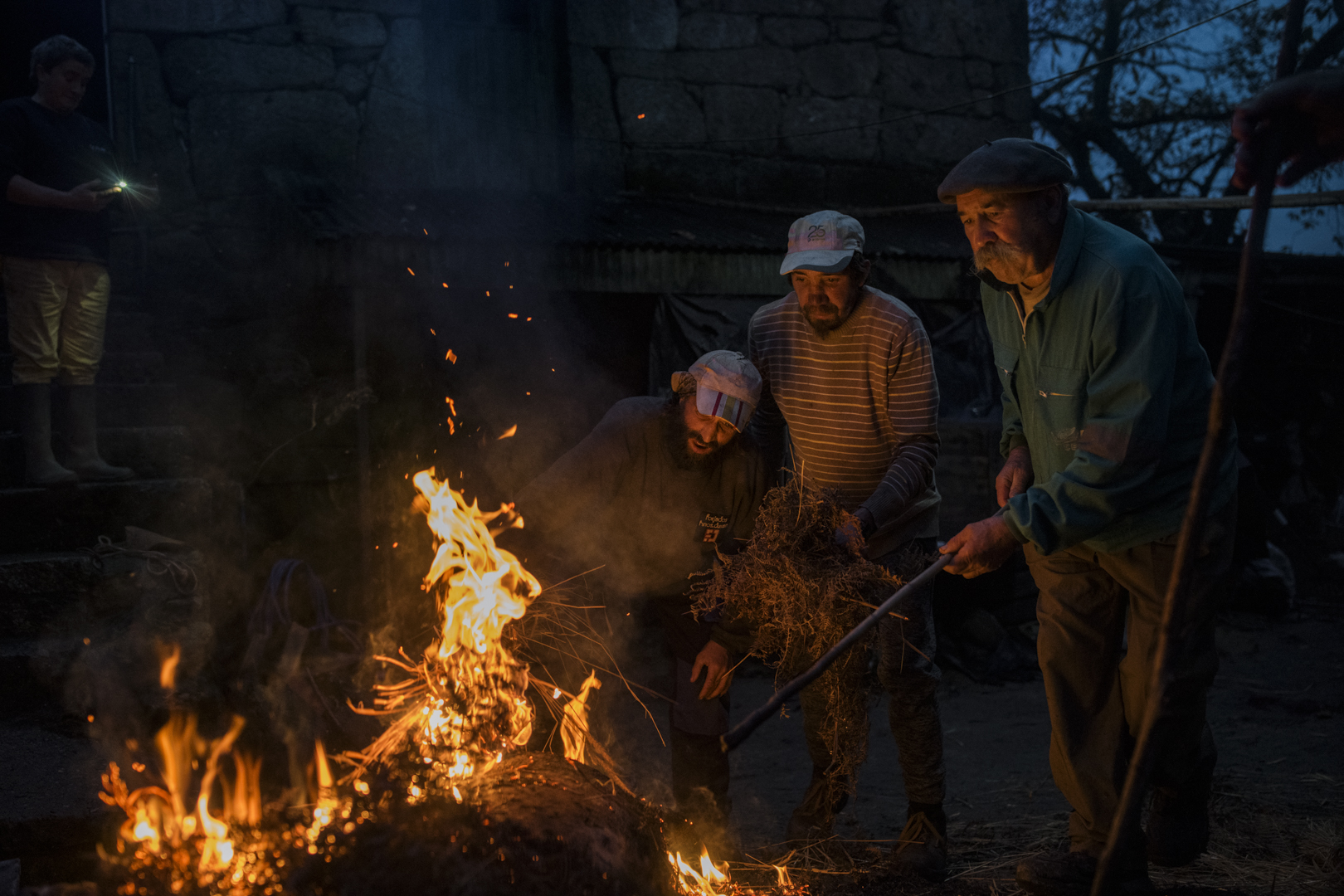 (ES) José Gonzalo, de 67 años, acompañado de sus dos hijos, quema la piel del cerdo con unos rastrojos durante la tradicional matanza en la aldea de A Estrema, As Neves, Pontevedra, en el noroeste de España. La matanza del cerdo es una práctica ancestral de gran importancia en las comunidades rurales gallegas, no solo como una de las principales fuentes de alimento para las familias durante el año, sino también como un evento social que refuerza los lazos comunitarios y mantiene vivas tradiciones transmitidas de generación en generación.

(EN) José Gonzalo, 67, and Inés Grova, 57, accompanied by his two sons, burns the pig's skin using brushwood during the traditional pig slaughter in the village of A Estrema, As Neves, Pontevedra, in the northwest of Spain. The pig slaughter is an ancestral practice of great importance in rural Galician communities, not only as a primary source of food for families throughout the year but also as a social event that strengthens community ties and preserves traditions passed down from generation to generation.