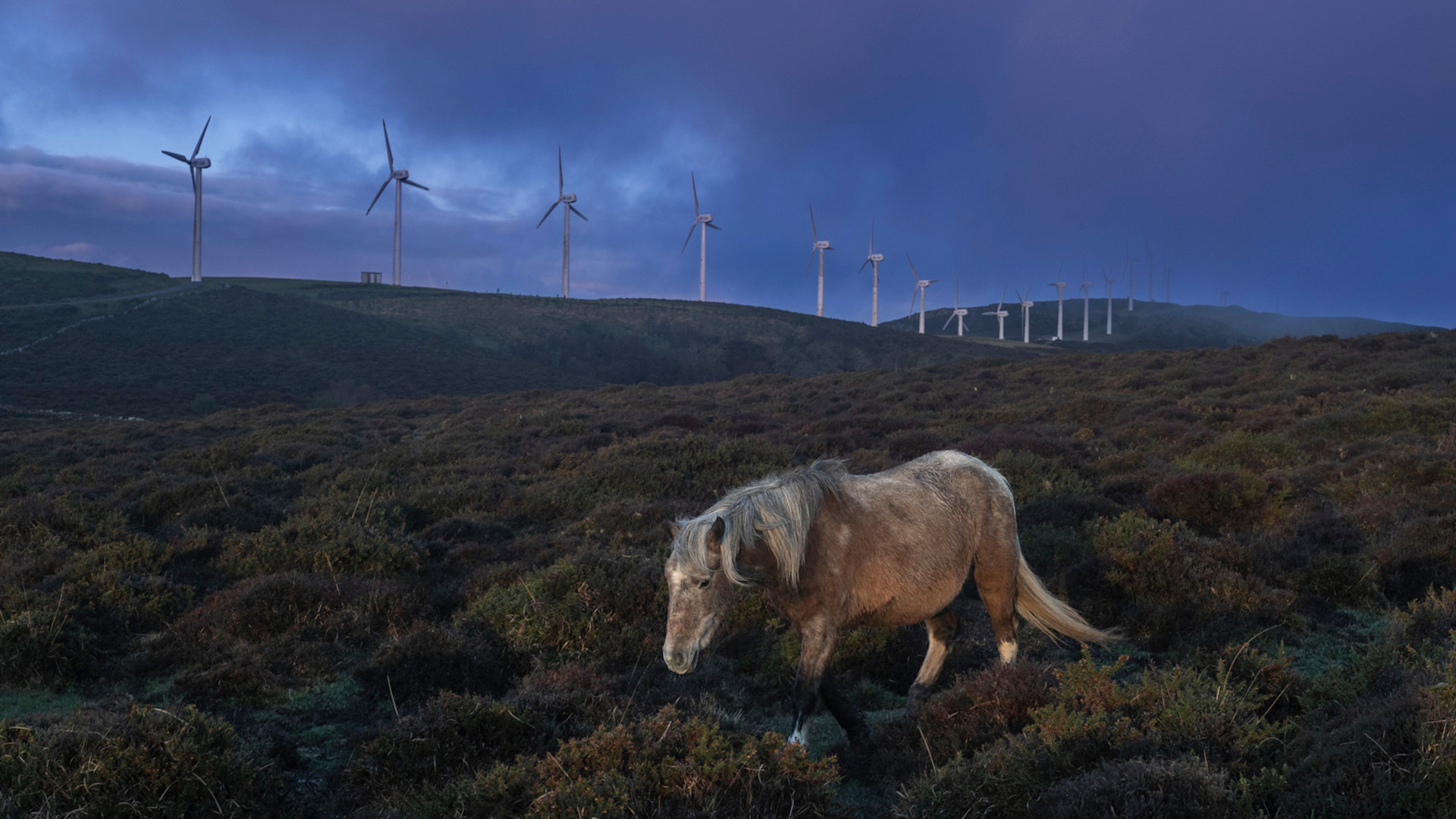 O rural que vai polo vento e un plan eólico no aire