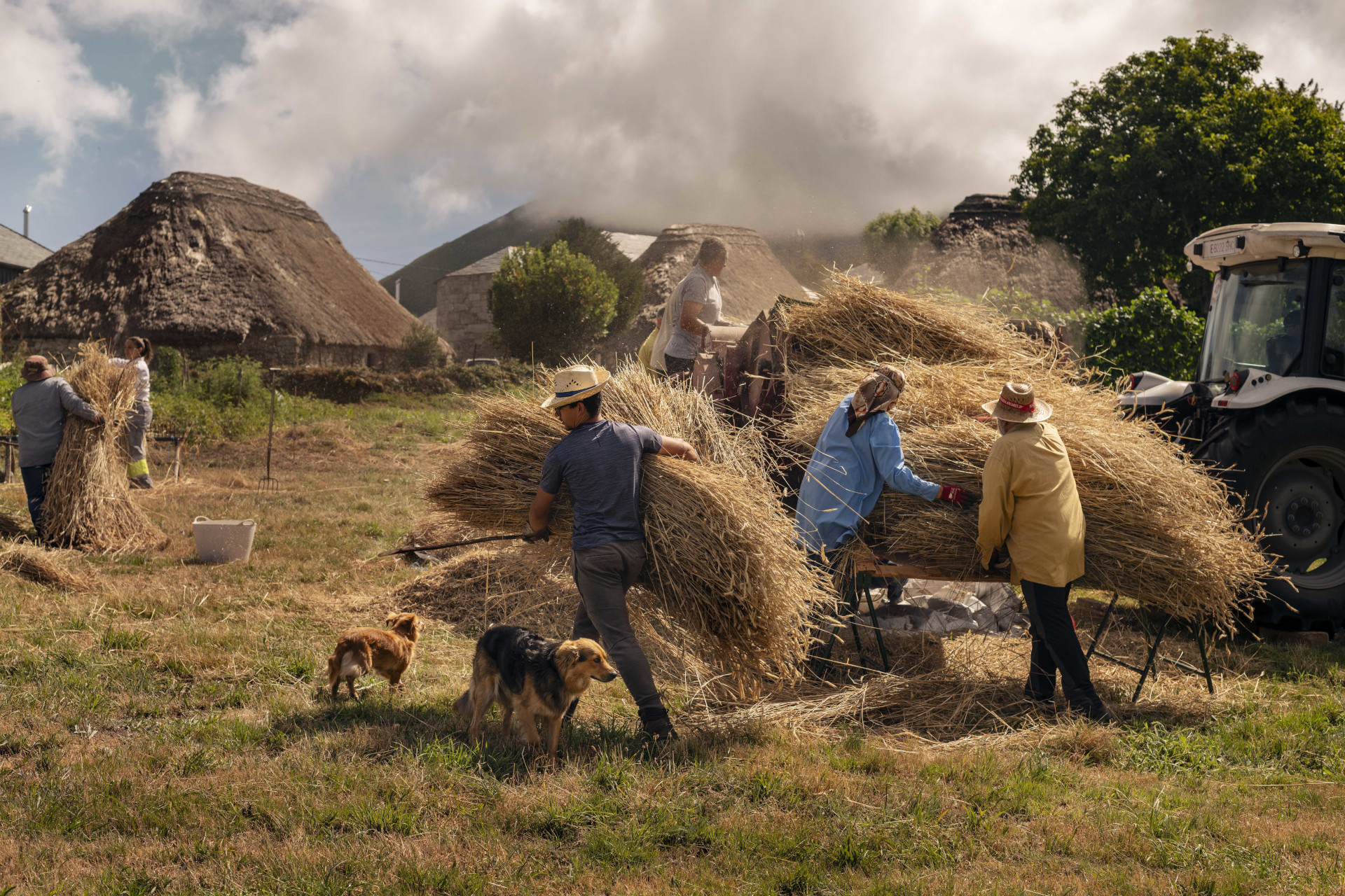 Mallega en Piornedo (Cervantes, Os Ancares). (Foto: Brais Lorenzo)