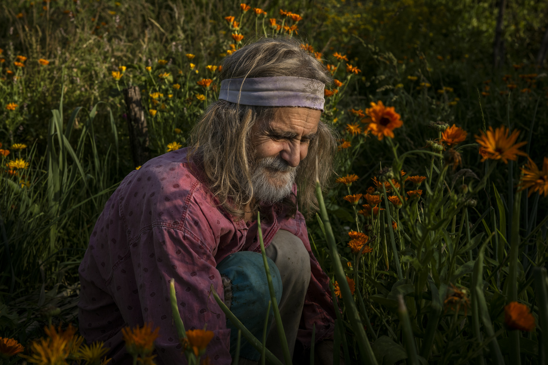 Alfonso traballa na súa leira na aldea de Ernes.